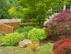 Hillside Landscape, Sloped Landscape
Garden Design
Calimesa, CA