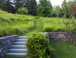  Hillside Meadow, Meadow Garden
Larry Weaner Landscape Associates
Glenside, PA