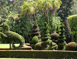 Hippocampus
Garden Design
Calimesa, CA