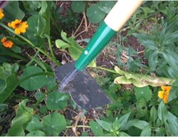 Hoe
Garden Design
Calimesa, CA