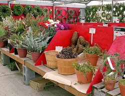 Holiday Décor, Outdoor Décor
Garden Design
Calimesa, CA