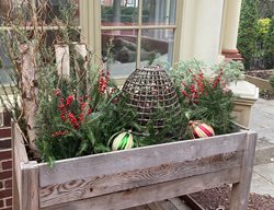 Holiday Raised Bed Display
Garden Design
Calimesa, CA