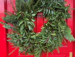 Holiday Wreath On Red Door
Garden Design
Calimesa, CA