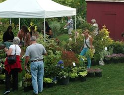 Hollister House
Garden Design
Calimesa, CA