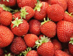 Honeoye Strawberry, Red Berries
Shutterstock.com
New York, NY