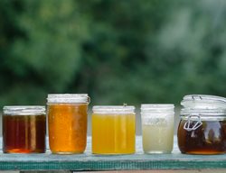 Honey Jars, Honey Color
Napa Valley Bee Co. 
Napa, CA