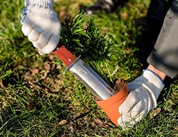 Hori Hori Garden Knife
Garden Design
Calimesa, CA