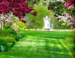 Hortulus Farm
Garden Design
Calimesa, CA