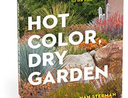 Hot Color Dry Garden
Garden Design
Calimesa, CA