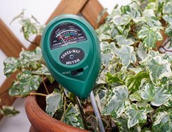 Houseplant Moisture Meter
Shutterstock.com
New York, NY