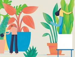 Housplant Course
Garden Design
Calimesa, CA