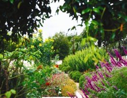 How To Detect Sudden Oak Death
Garden Design
Calimesa, CA