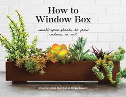 How To Window Box
Garden Design
Calimesa, CA