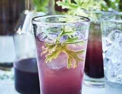 Huckleberry Shrub, Purple Drink
Ten Speed Press
Berkeley, CA