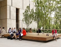 Hydrangea
Garden Design
Calimesa, CA