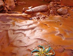 In Situ
Garden Design
Calimesa, CA