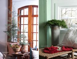 Indoor Plants
Garden Design
Calimesa, CA