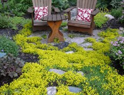 Informal Reading Area
Candace Mallette Landscape & Garden Design
Ottawa, ON