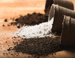 Ingredients For Potting Soil, Peat And Perlite
Shutterstock.com
New York, NY