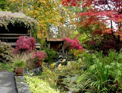 Inner Garden Autumn
Robin Hopper (Homeowner)
Metchosin, British Columbia