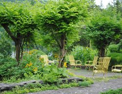 Innisfree Garden, Ny
Garden Design
Calimesa, CA