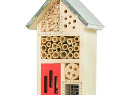 Insect House, Bug Hotel
Niteangel
