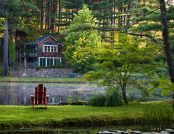 Into The Woods
Garden Design
Calimesa, CA