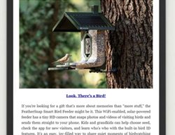 Ipadnewsletter
Garden Design
Calimesa, CA