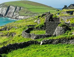 Ireland
Garden Design
Calimesa, CA