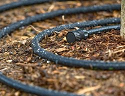 Irrigation System
Garden Design
Calimesa, CA