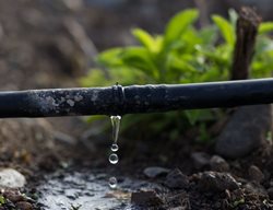 Irrigation Systems
Garden Design
Calimesa, CA