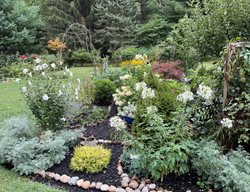 Island Planting Bed
Garden Design
Calimesa, CA