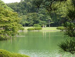 Japan
Garden Design
Calimesa, CA