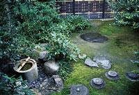 Japanese Garden
Garden Design
Calimesa, CA
