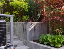 Japanese Maple, Elevated Planter Beds
Garden Design
Calimesa, CA