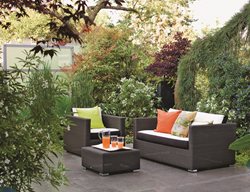 Japanese Maples
Garden Design
Calimesa, CA