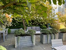 Japanese Stewartia In Containers
Garden Design
Calimesa, CA