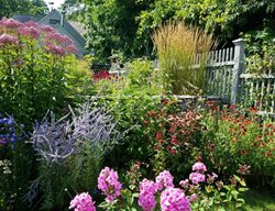 Jaw-Dropping Flowering Shrubs
Garden Design
Calimesa, CA