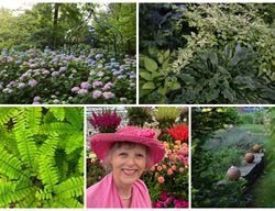 Jenny Rose Carey And Gardens
Garden Design
Calimesa, CA