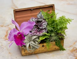  Jewel Box Garden, Orchid Bloom
Garden Design
Calimesa, CA