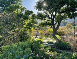 Jim Backyard
Garden Design
Calimesa, CA