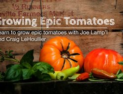 Joe Lamp'l Epic Tomatoes Course
JoeGardener
