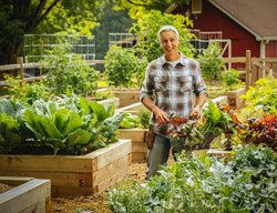 Joe Lamp'l In Garden
JoeGardener
