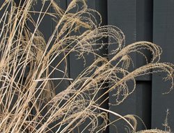 Johnsen Landscapes & Pools
Mount Kisco, NY