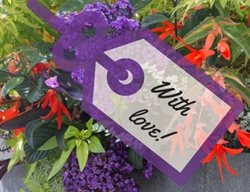 Karen Chapman Abundant Container Course
Garden Design
Calimesa, CA