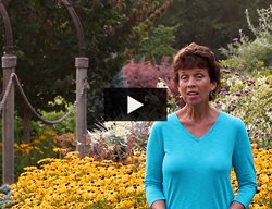 Karen Chapman Video, Deer Resistant Garden
Garden Design
Calimesa, CA