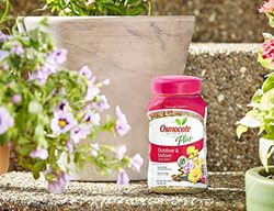 Keep Container Gardens Watered & Fertilized
Garden Design
Calimesa, CA