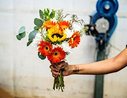 Kendall Farms
Kendall Farms
Fallbrook, CA