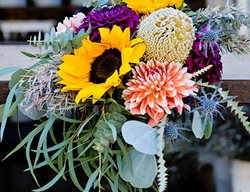 Kendall Farms
Kendall Farms
Fallbrook, CA