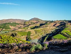 Kendall Farms
Kendall Farms
Fallbrook, CA